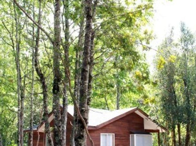 Casa en Arriendo en Pucón 2 dormitorios 1 baño