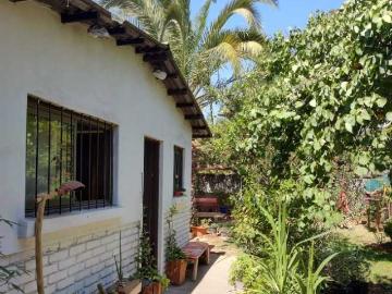 Casa en Arriendo en Ñuñoa 6 dormitorios 4 baños