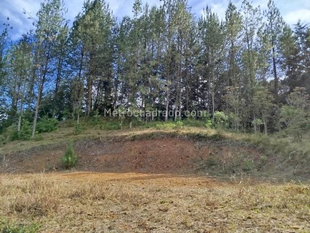 Casa en Arriendo, Guarne, Guarne