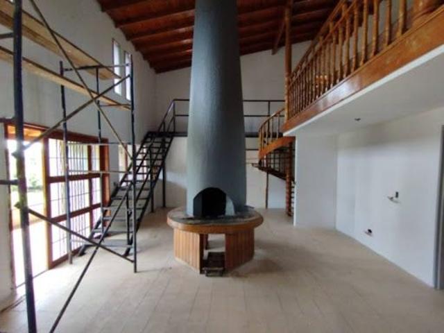 Casa en arriendo, Hojas anchas