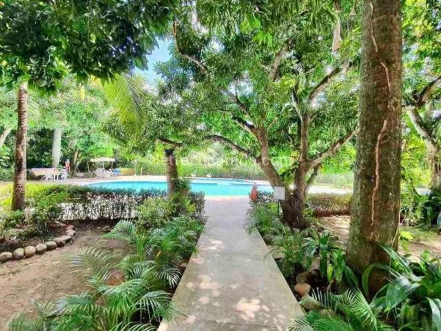 Casa en Arriendo, Isla del Sol, Ricaurte