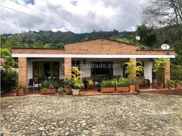 San Pedro de los Milagros, San Pedro, Antioquia, Antioquia