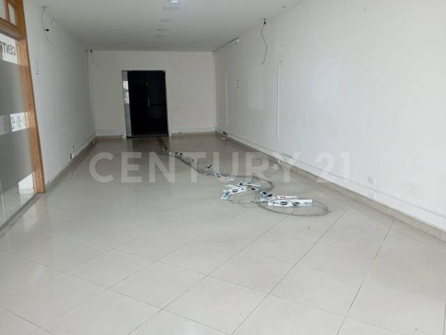 Casa en arriendo, La soledad