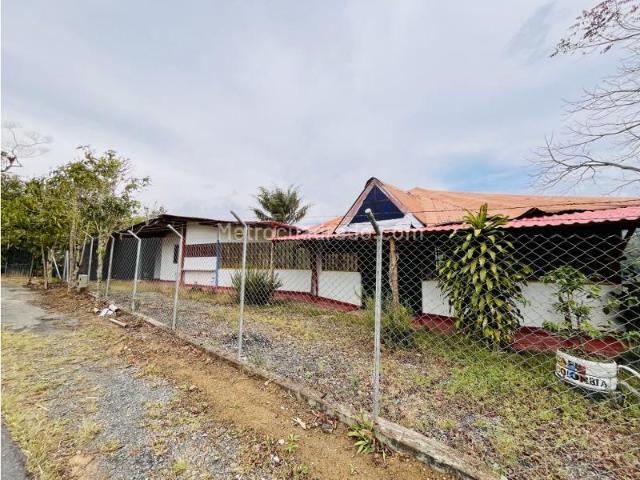 Casa en Arriendo, Los Pinos, Salento