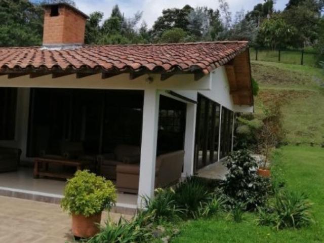 Casa en arriendo, Los salados