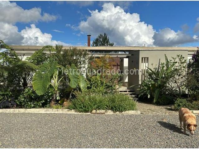 Casa en Arriendo, Vereda Sajonia, Rionegro