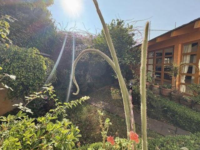 CASA EN BOSQUE DE LA HERRADURA