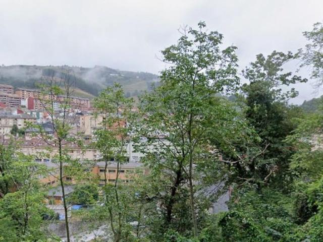 CASA EN CANGAS DEL NARCEA