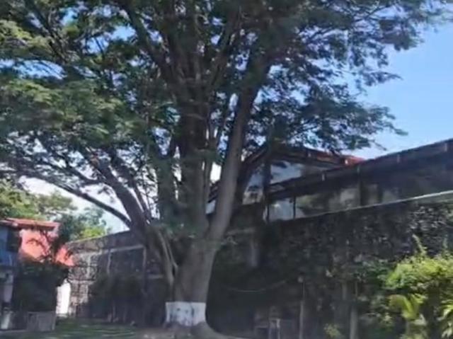 Casa en condominio en Centro Jiutepec