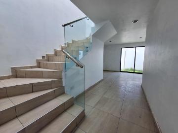 Casa en renta en Mexicaltzingo México - Jardín