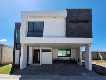 Casa en renta en Mexicaltzingo México - Jardín