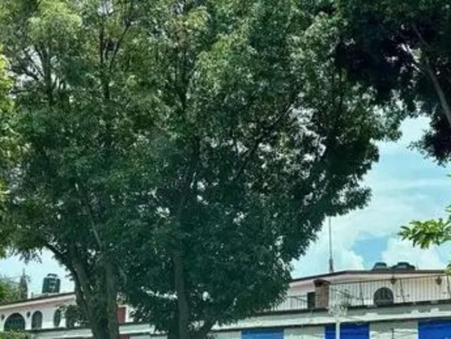 Casa En Condominio En Renta Cuadrante De San Francisco Coyoacan