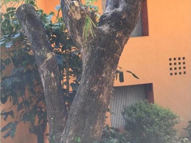 Casa en condominio en renta Ahuatepec, Cuernavaca, Morelos