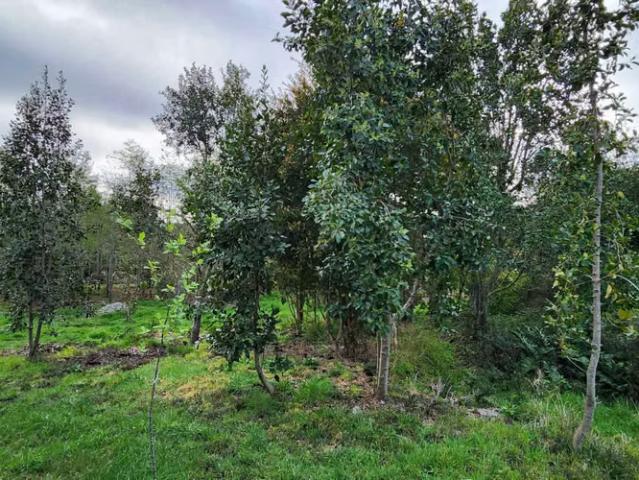 Casa en condominio lomas de monte verde 1249 | dormitorios por 185000. 00 en Puerto Montt