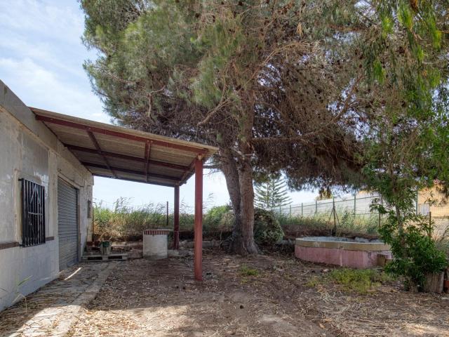 Refugio Elche, zona La Marina