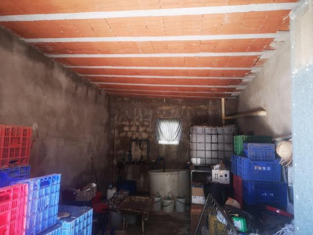 CASA EN FINCA DE NARANJOS CON POZO PROPIO