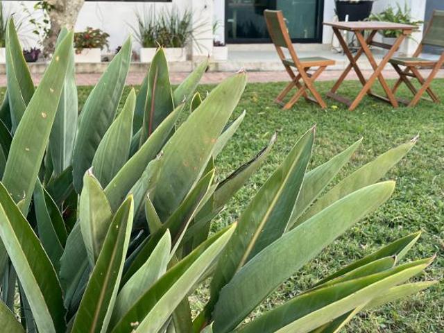 Casa en Fraccionamiento Villas Nautico