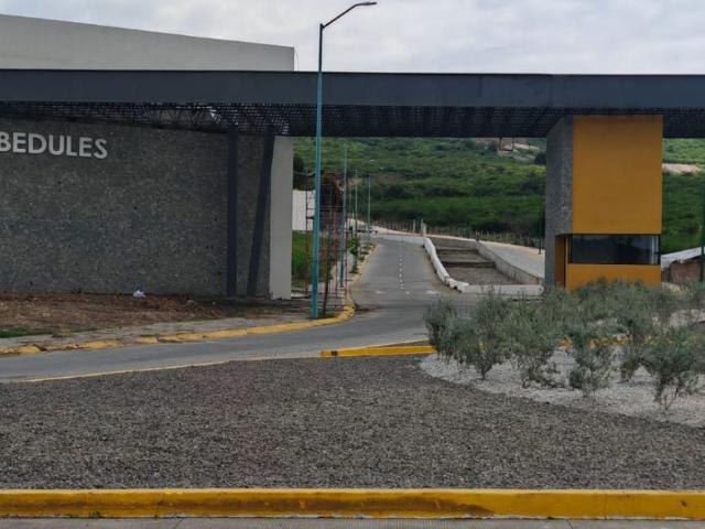 Casa en fraccionamiento en renta Venti Abedules Tres Marías, Morelia, Michoacán, México