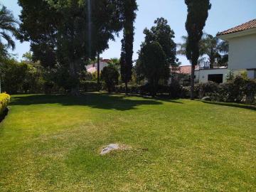 Casa en fraccionamiento en renta Avenida Independencia 1702 1702, Álvaro Obregón, Atlixco, Puebla, 74260, Mex