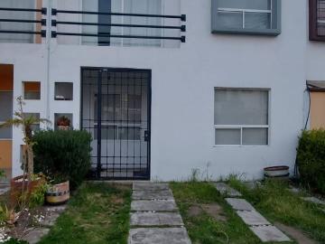 Guadalupe TOLUCA, Toluca México, Mexico