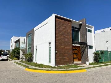 Casa en fraccionamiento en renta Calle 38 Oriente 451, San Diego Los Sauces, San Andrés Cholula, Puebla, México
