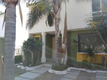 Casa en fraccionamiento en renta Circuito Del Olmo 100, Arboledas Del Campestre, Celaya, Guanajuato, 38080, Mex