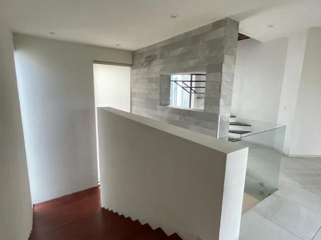 Casa en fraccionamiento en renta Paseo Sierrazul, San Luis Potosí, México