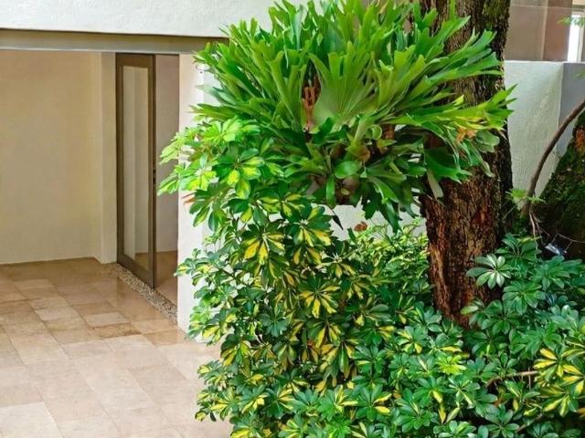 Casa en fraccionamiento en renta Privada Manantiales, Chapultepec, Cuernavaca, Morelos, México