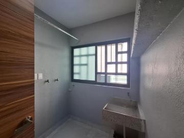 Casa en fraccionamiento Palma Real