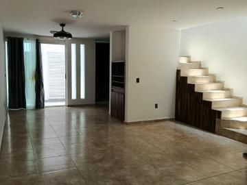 Casa en Fraccionamiento Paseos del Bosque