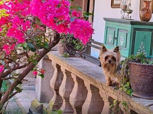 Casa en Huíchapan