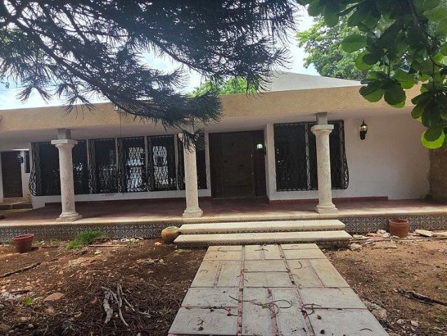 Casa en la colonia Buenavista