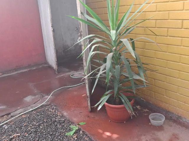 Casa en La Pintana