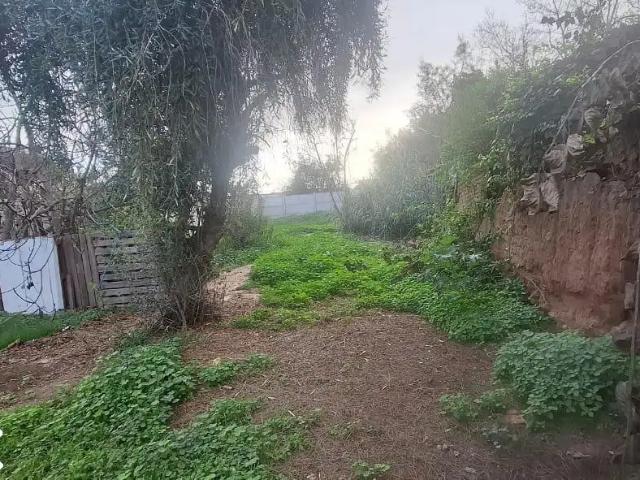 Casa en La Serena