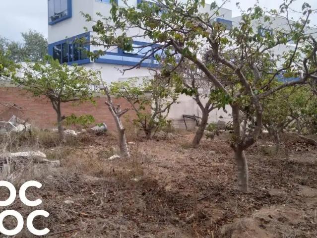 Casa en La Serena