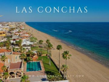 Conchas PUERTO PEÑASCO, Puerto Peñasco, Alta California, Mineral de la Reforma, Hidalgo