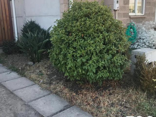 Casa en Puente Alto