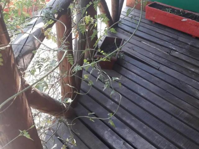 Casa en Puente Alto