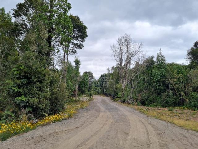 Casa en Puerto Varas