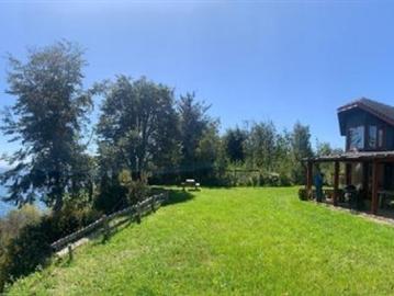 Río Maullin, Altas Cumbres, Las Araucarias, Puerto Varas, Provincia de Llanquihue, Región de Los Lagos