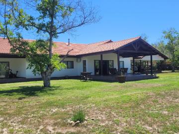 Camino Padre Hurtado, Provincia De Maipo, Buin, Provincia de Maipo, Región Metropolitana de Santiago