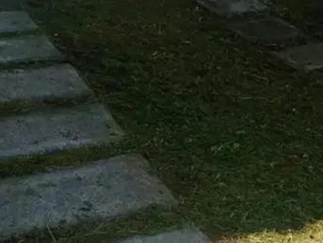 Casa En Paseos Del Prado Cuenta Con 2 Recámaras Baño Y Medio Sala, Cocina,comedor, Zotehuela, Estacionamiento Para Un Coche