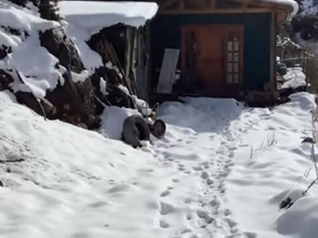Casa en Parcela Comunidad Ecológica Canelo Alto