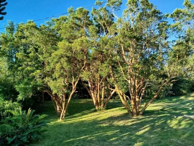 Casa en Pelluco cercana a Colegio San Javier 1803 | dormitorios por 15000.00 en Puerto Montt