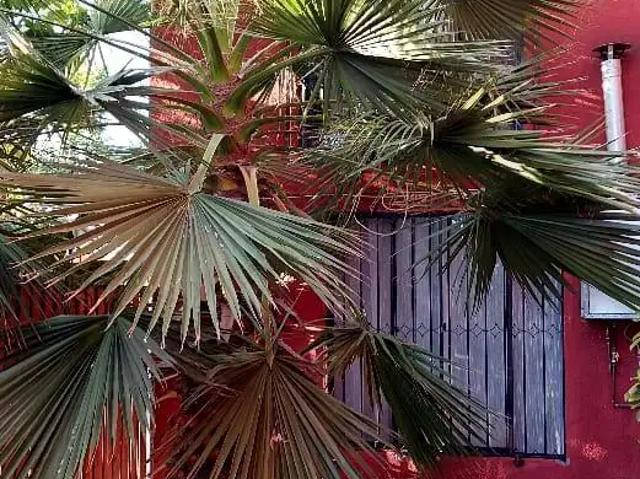Casa en Peñaflor