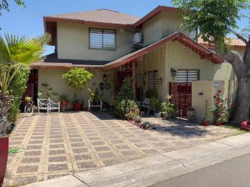 Hacienda Macul, El Portal, Peñalolén, Provincia de Santiago, Región Metropolitana de Santiago