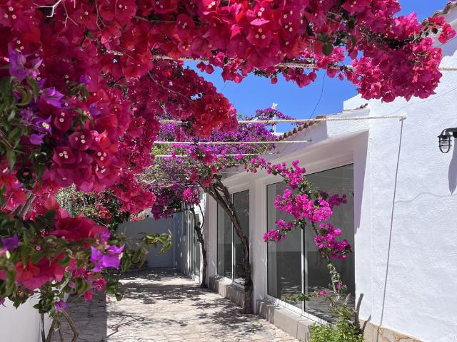 Casa en planta baja en el corazón del Delta