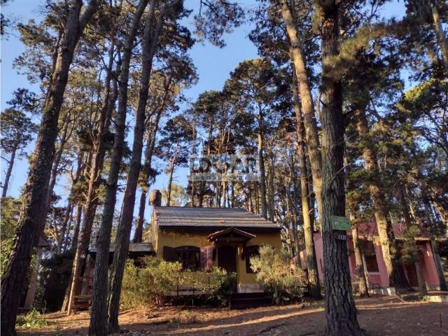 CASA EN PLENO BOSQUE DE VALERIA DEL MAR
