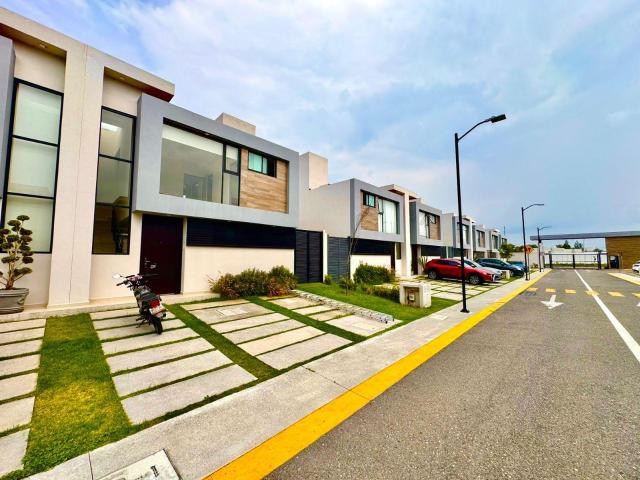 Casa en renat en garza azul II