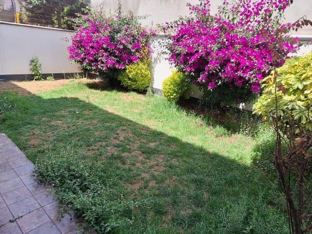 Casa en Renta ? Av. de las Arboledas
